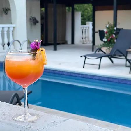 Bed & Breakfast La Vida L'Alfas del Pi